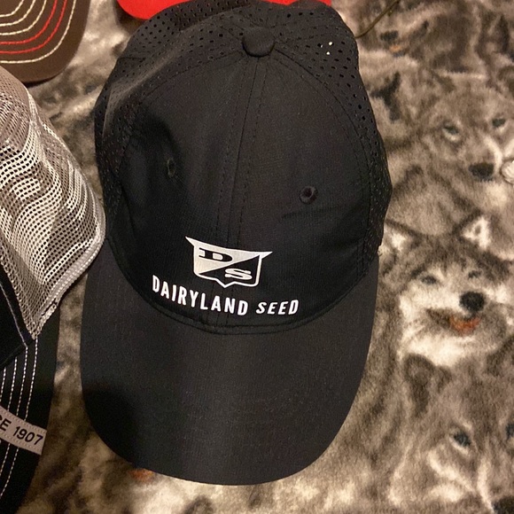 Hat Assortment - Picture 5 of 8